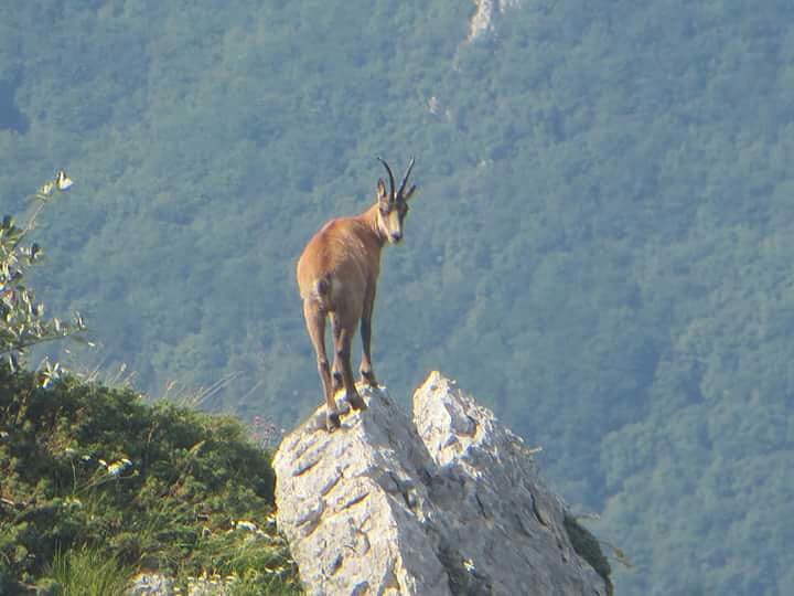 raggiungere le vette fa benne alla salute